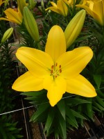 [5050 Nashville No02.JPG]